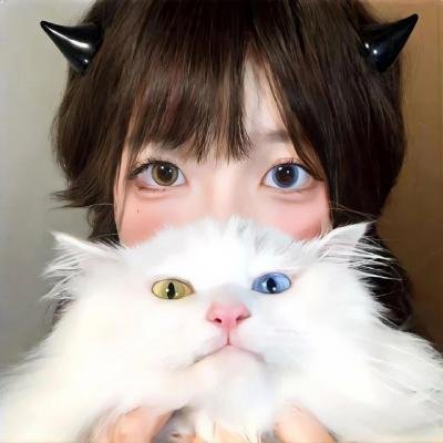 燕子海报