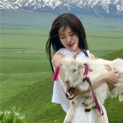 巴斯克久远时光海报